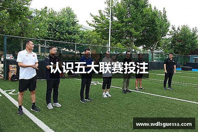 认识五大联赛投注